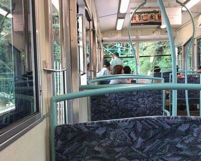 石清水八幡宮 ケーブル