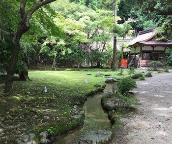 上賀茂神社 小川