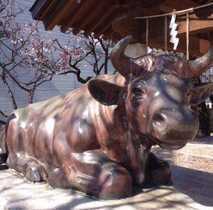 廿日市天満宮・牛