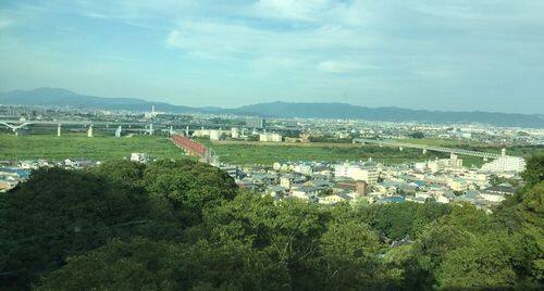 男山からの眺め