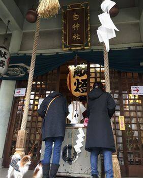 白神社・地域に愛されている神社