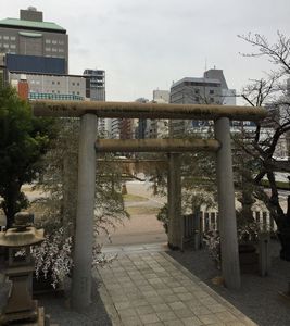神社側から平和大通りを見る