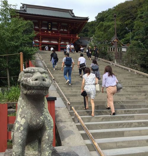 鶴岡八幡宮・狛犬と石段